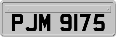 PJM9175