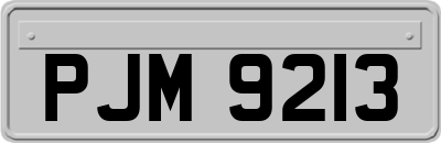 PJM9213