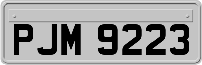 PJM9223