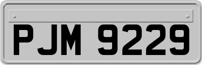 PJM9229