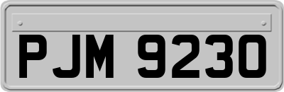 PJM9230