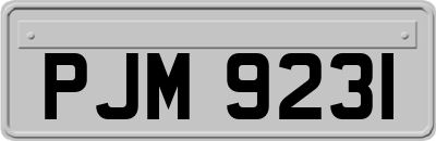 PJM9231