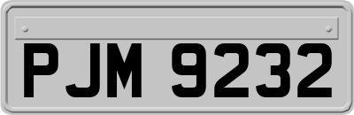 PJM9232