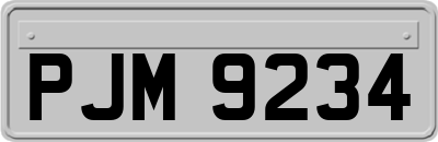 PJM9234