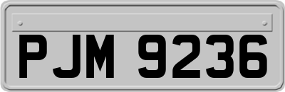 PJM9236