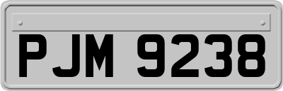 PJM9238