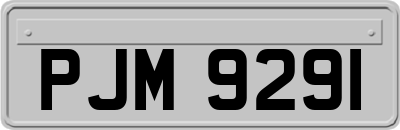 PJM9291