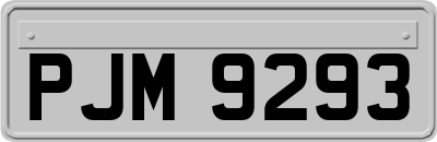 PJM9293