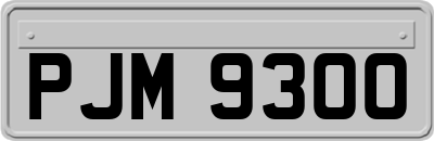PJM9300