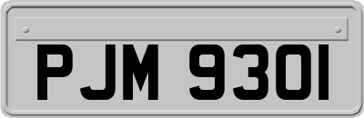 PJM9301