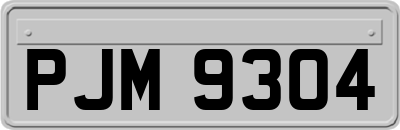 PJM9304