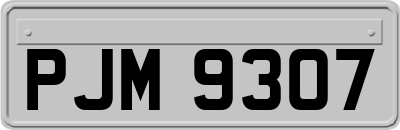 PJM9307