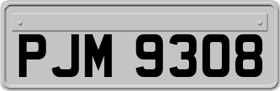PJM9308