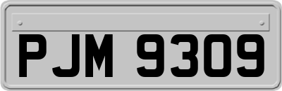 PJM9309