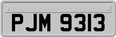 PJM9313
