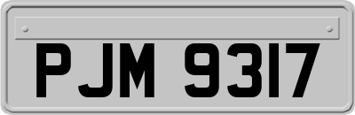 PJM9317
