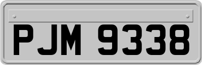 PJM9338