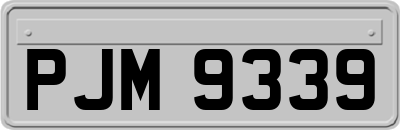 PJM9339