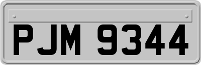 PJM9344