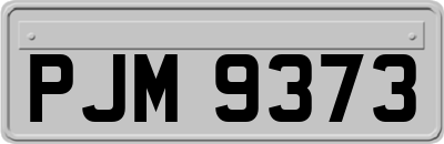 PJM9373