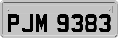 PJM9383