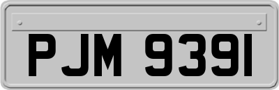 PJM9391
