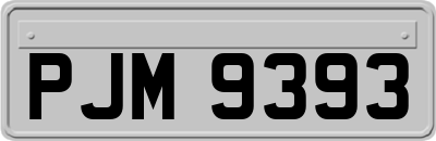 PJM9393