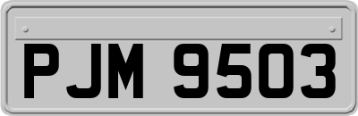 PJM9503