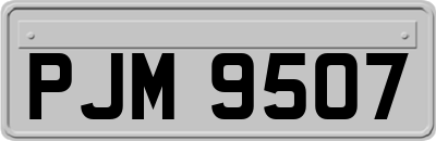 PJM9507