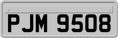 PJM9508