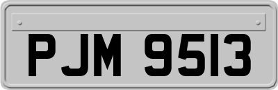 PJM9513