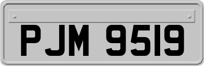 PJM9519