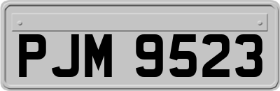 PJM9523
