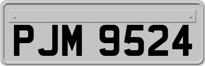 PJM9524