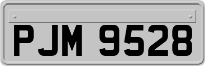 PJM9528