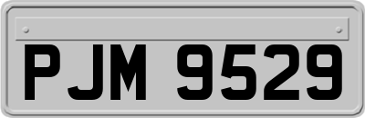 PJM9529