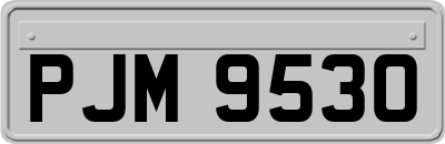 PJM9530