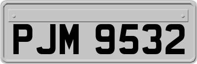 PJM9532