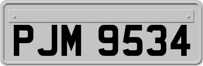 PJM9534