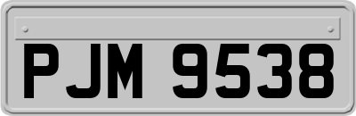 PJM9538