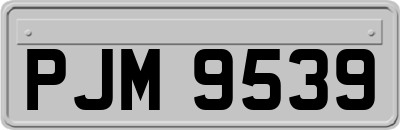 PJM9539
