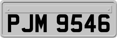 PJM9546