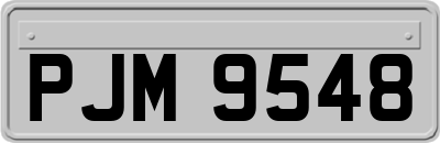 PJM9548