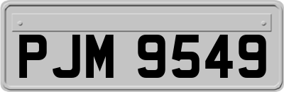 PJM9549