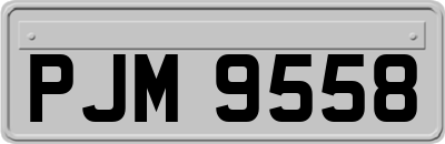 PJM9558