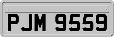 PJM9559