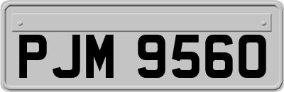 PJM9560