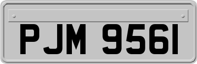 PJM9561