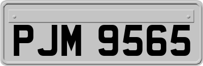 PJM9565