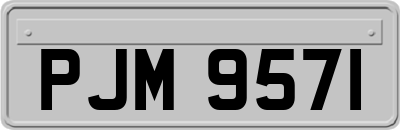 PJM9571